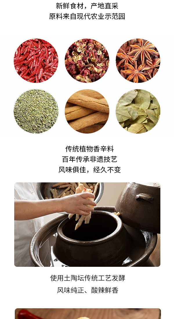 老母水泡小黄姜_03.png