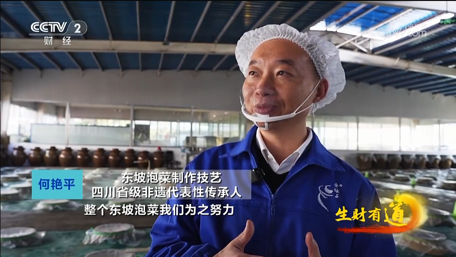 CCTV2聚焦东坡泡菜，感受平常人家的至味清欢
