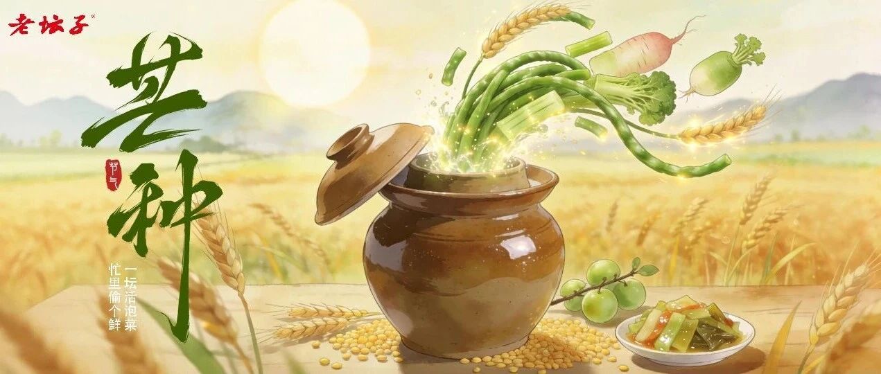 这一口“活泡菜 ”专治夏天的忙与闷